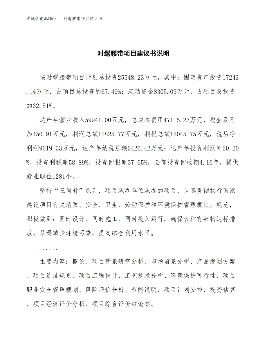 时髦腰带项目建议书（可研报告）.docx_第2页