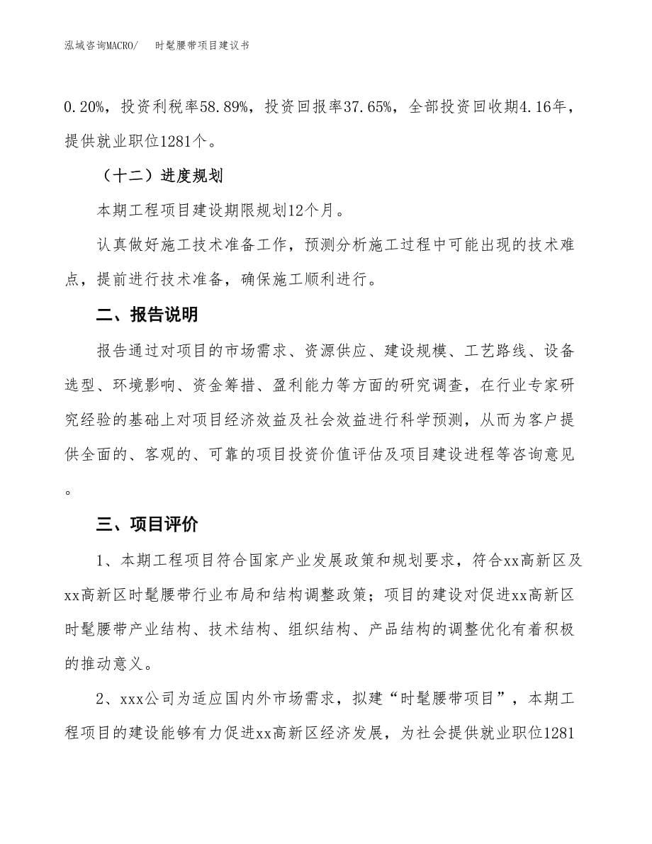 时髦腰带项目建议书（可研报告）.docx_第5页