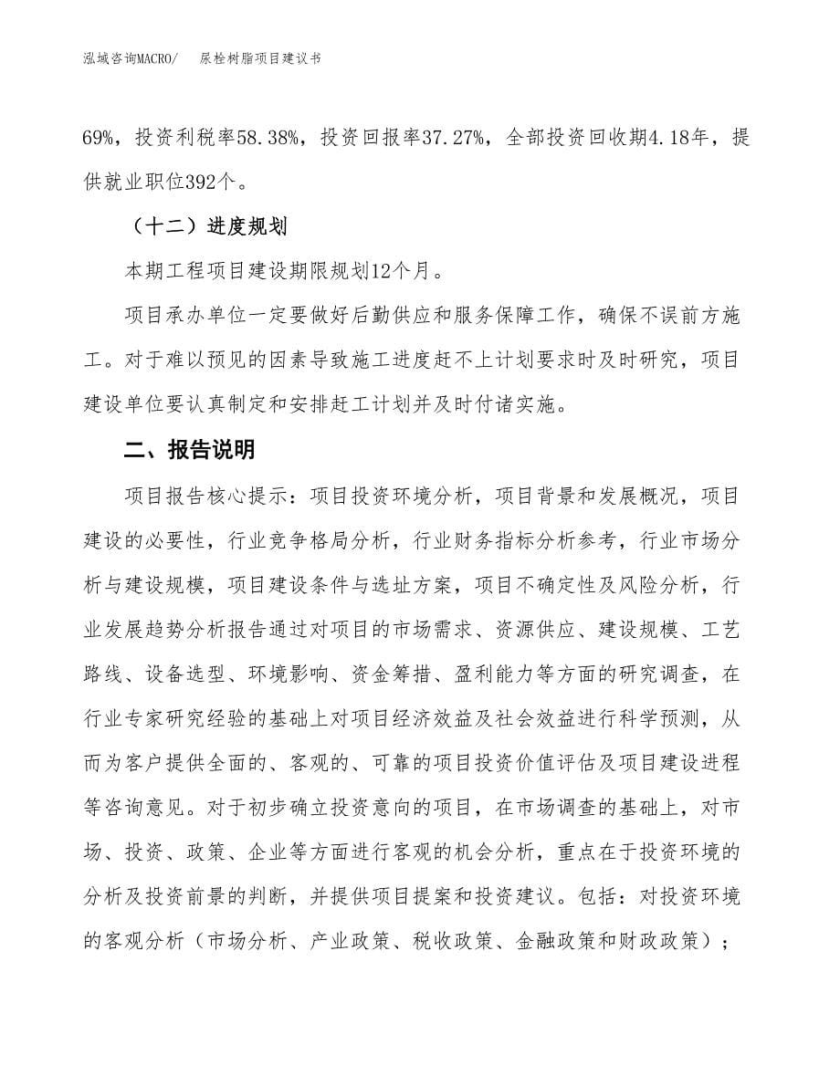 尿栓树脂项目建议书（可研报告）.docx_第5页