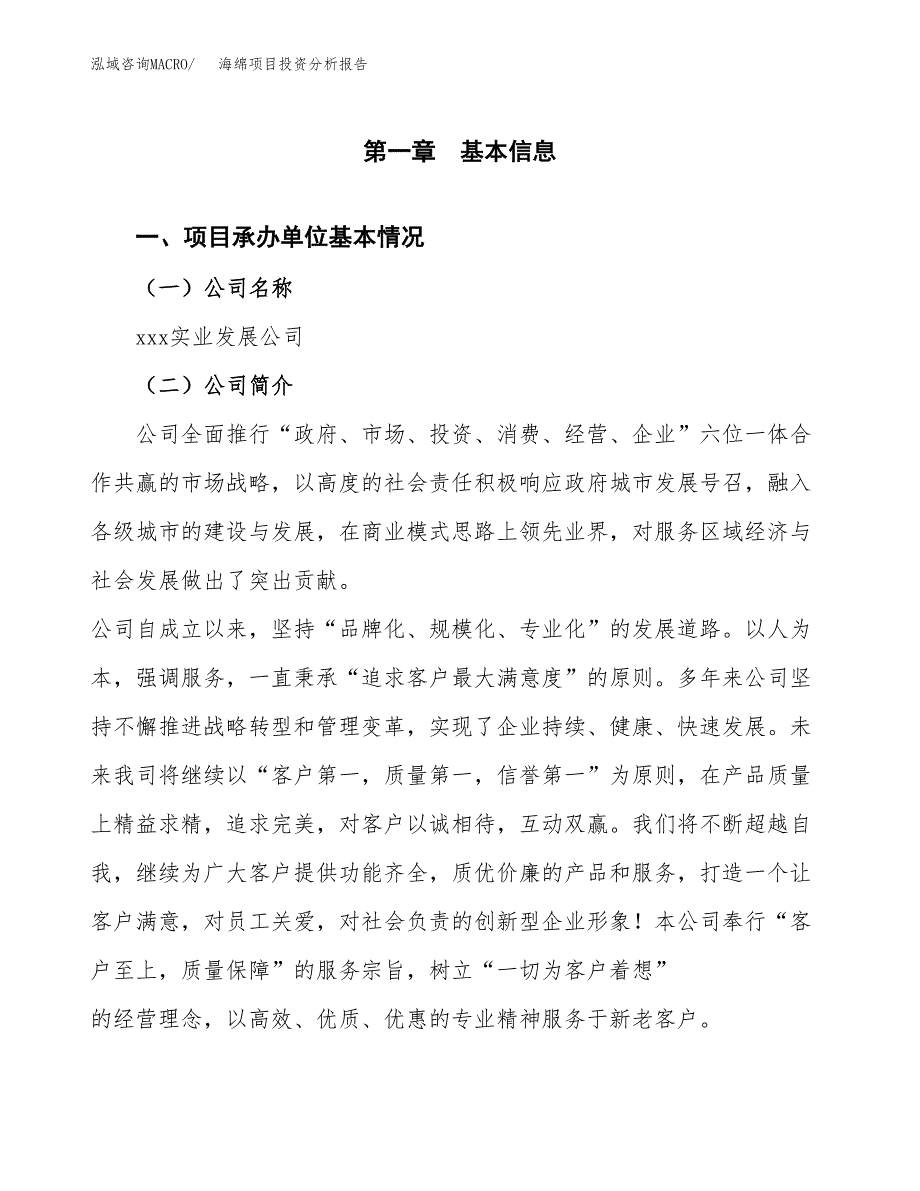 海绵项目投资分析报告（总投资9000万元）（33亩）_第2页