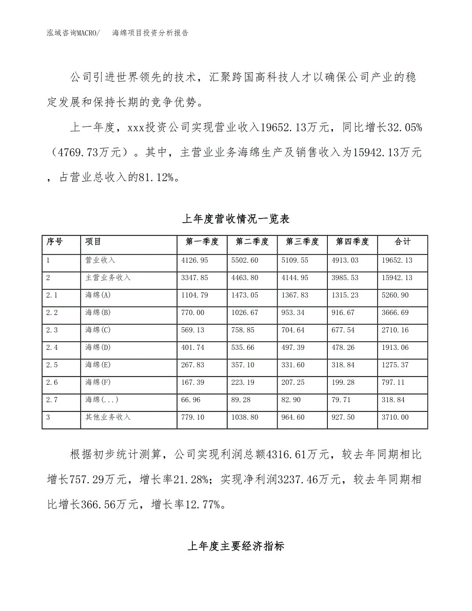 海绵项目投资分析报告（总投资9000万元）（33亩）_第3页