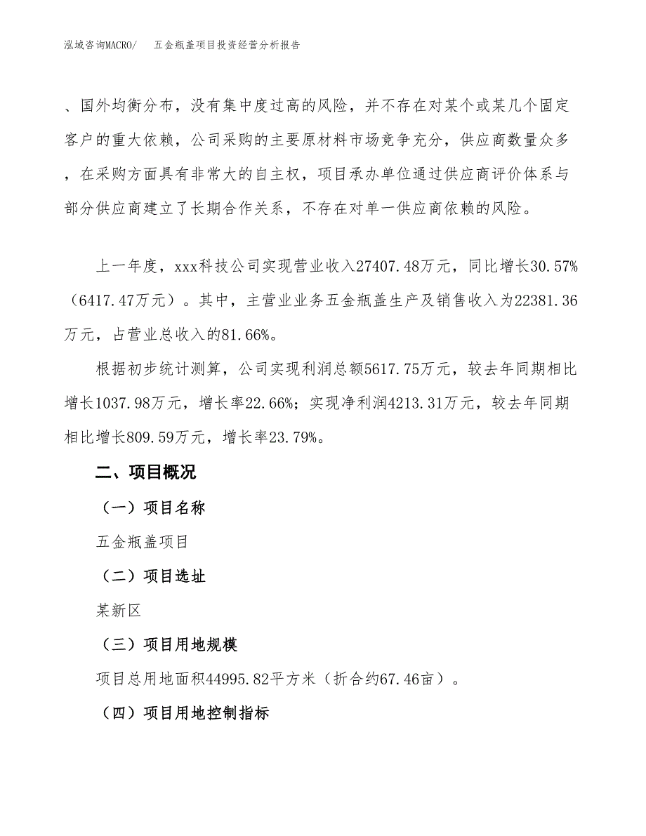 五金瓶盖项目投资经营分析报告模板.docx_第2页