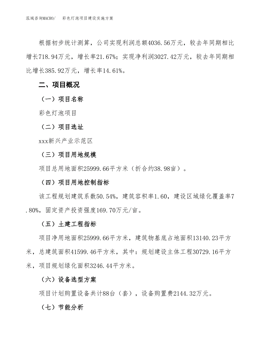 彩色灯泡项目建设实施方案（模板）_第3页