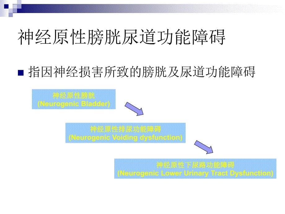 尿动力检查临床应用_第5页