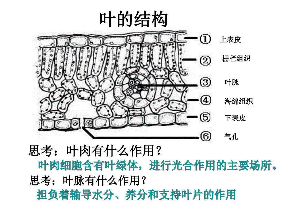 九年级生命科学复习提纲(下)._第2页