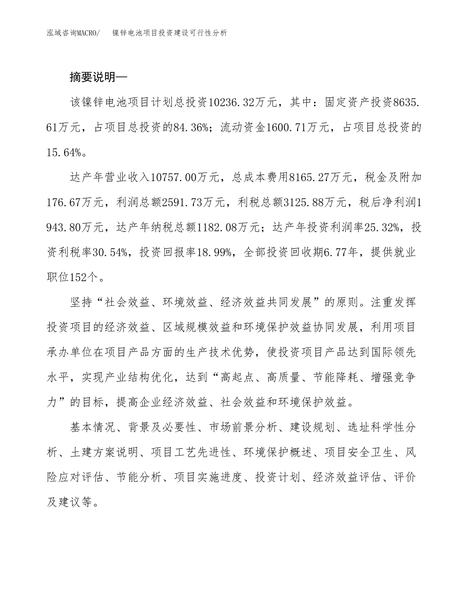 镍锌电池项目投资建设可行性分析.docx_第2页