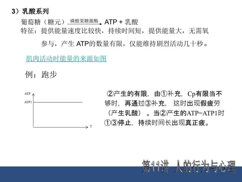 人因工程学 第2章人的因素._第3页