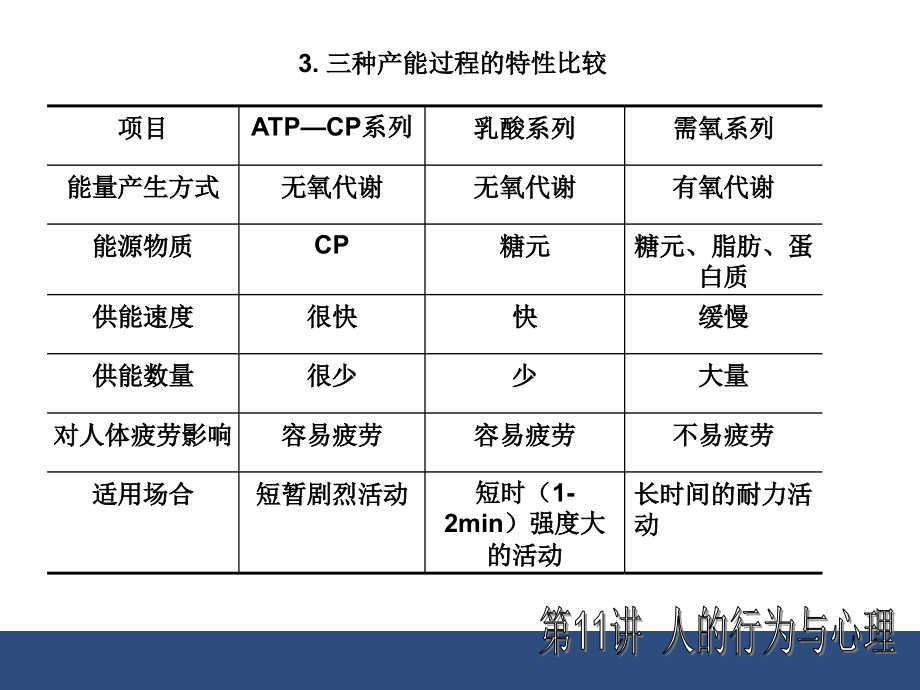 人因工程学 第2章人的因素._第4页