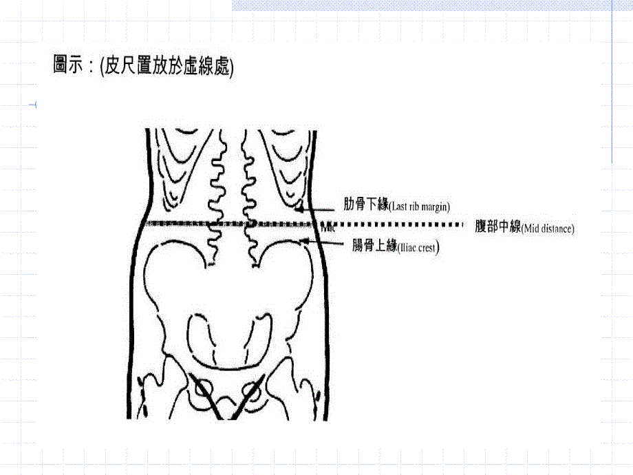 成人腰围正确测量方法（精品）_第4页