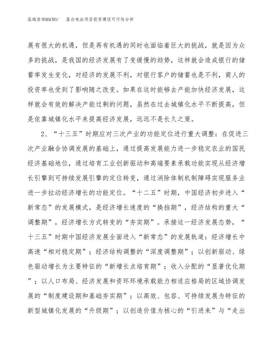 蛋白电泳项目投资建设可行性分析.docx_第5页