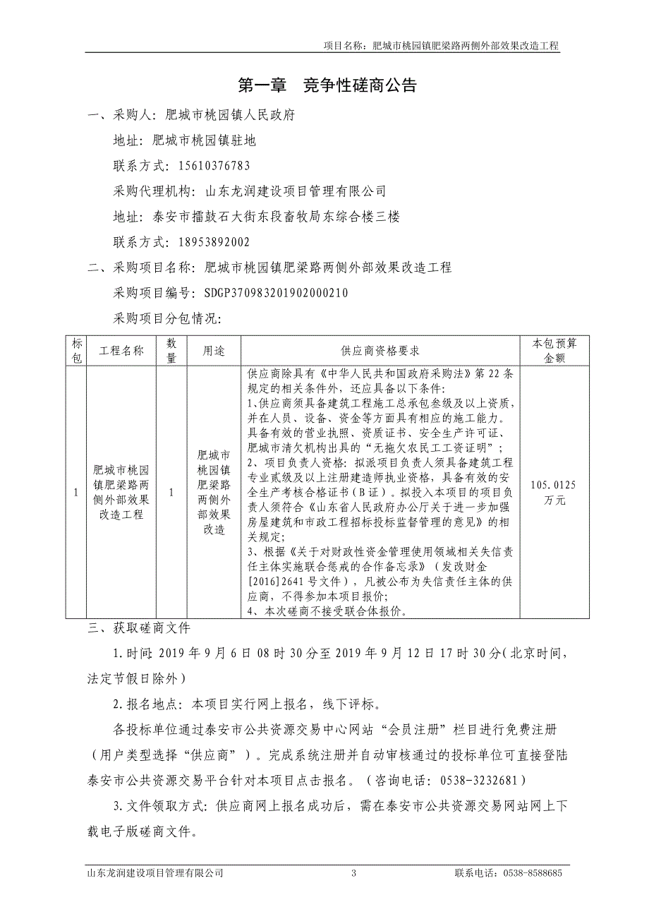 肥城市桃园镇肥梁路两侧外部效果改造工程竞争性磋商文件_第4页