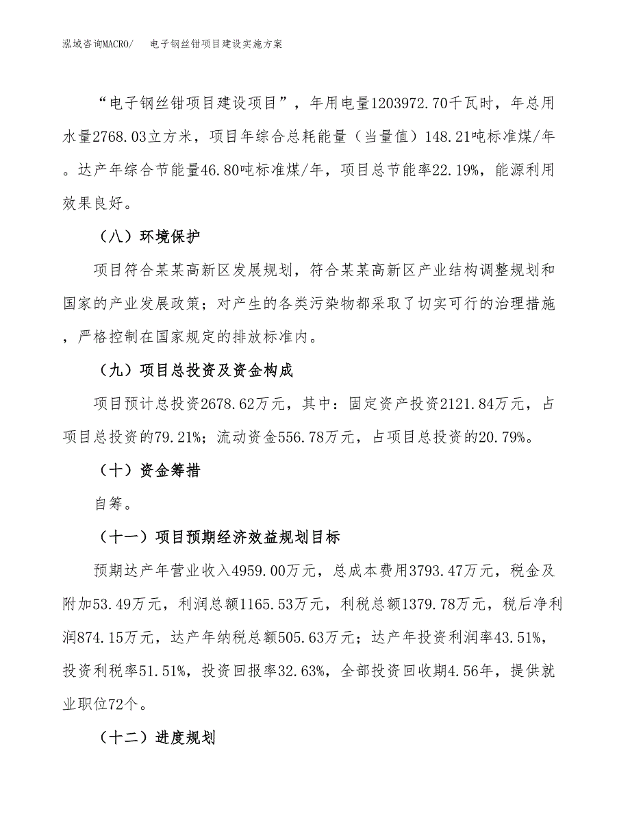 电子钢丝钳项目建设实施方案（模板）_第4页