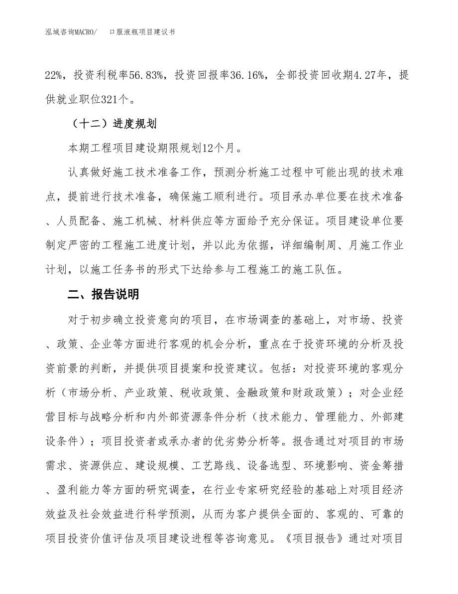 口服液瓶项目建议书（可研报告）.docx_第5页