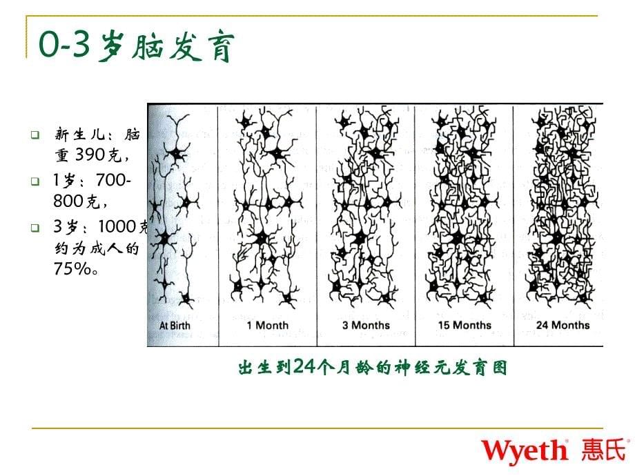 儿童早期发展指导讲解_第5页