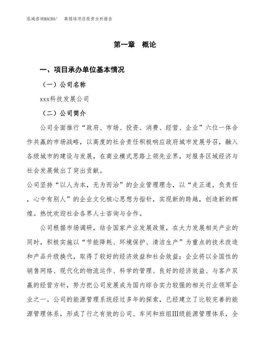 高锘球项目投资分析报告（总投资19000万元）（77亩）_第2页