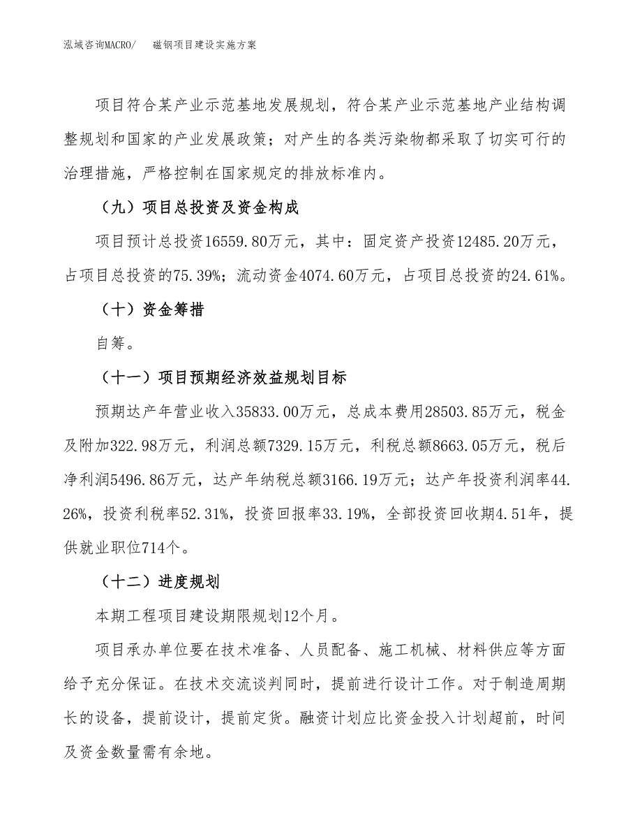 磁钢项目建设实施方案（模板）_第4页