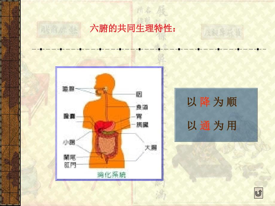 第六节-六腑_第4页