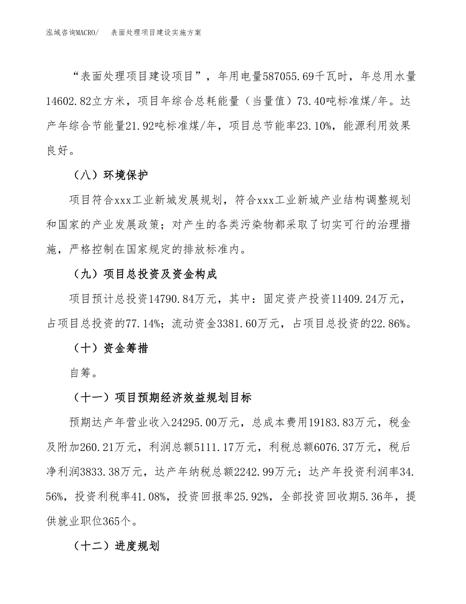 表面处理项目建设实施方案（模板）_第4页