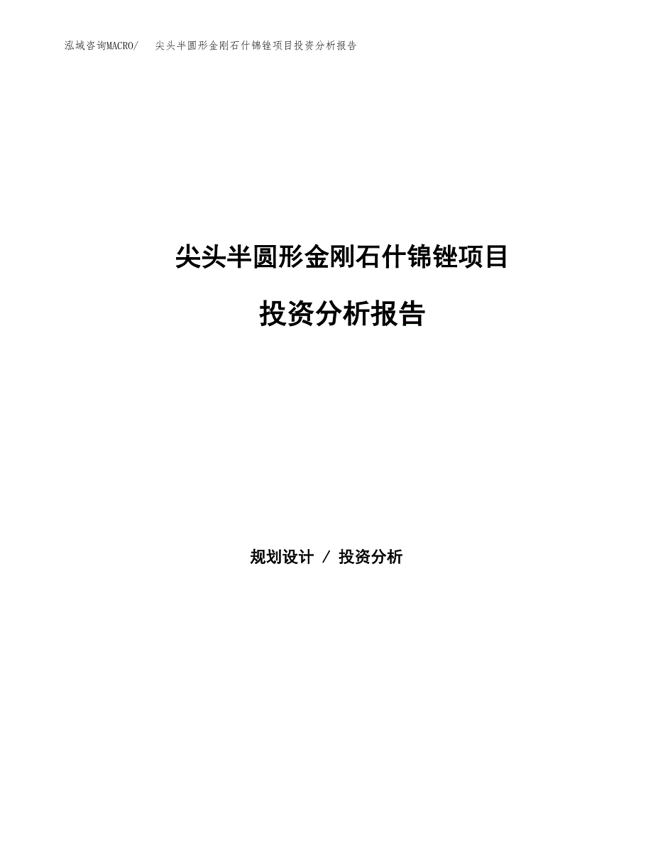 尖头半圆形金刚石什锦锉项目投资分析报告（总投资4000万元）（16亩）_第1页