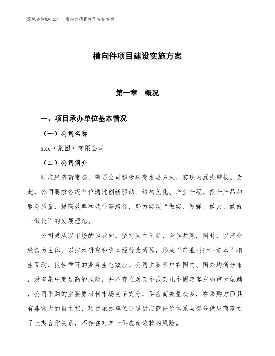 横向件项目建设实施方案（模板）_第1页