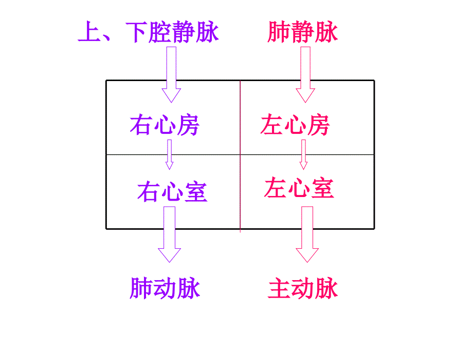 代谢废物的排出综述_第2页