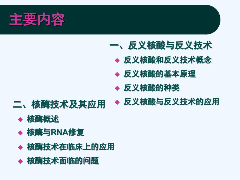 生物技术药物反义核酸与核酶_第4页