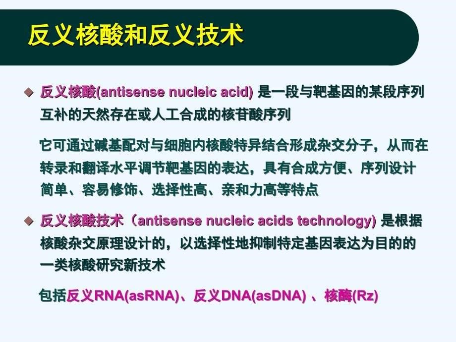 生物技术药物反义核酸与核酶_第5页