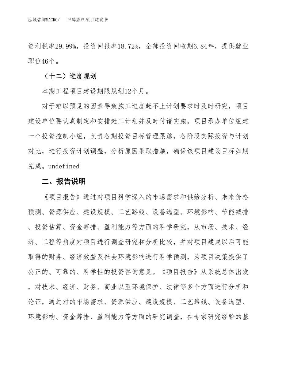 甲醇燃料项目建议书（可研报告）.docx_第5页