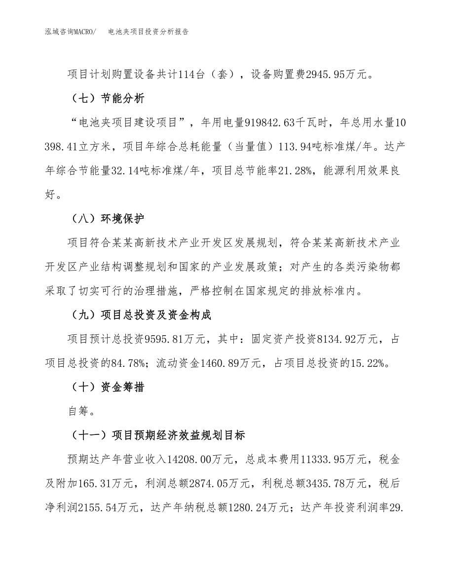 电池夹项目投资分析报告（总投资10000万元）（44亩）_第5页