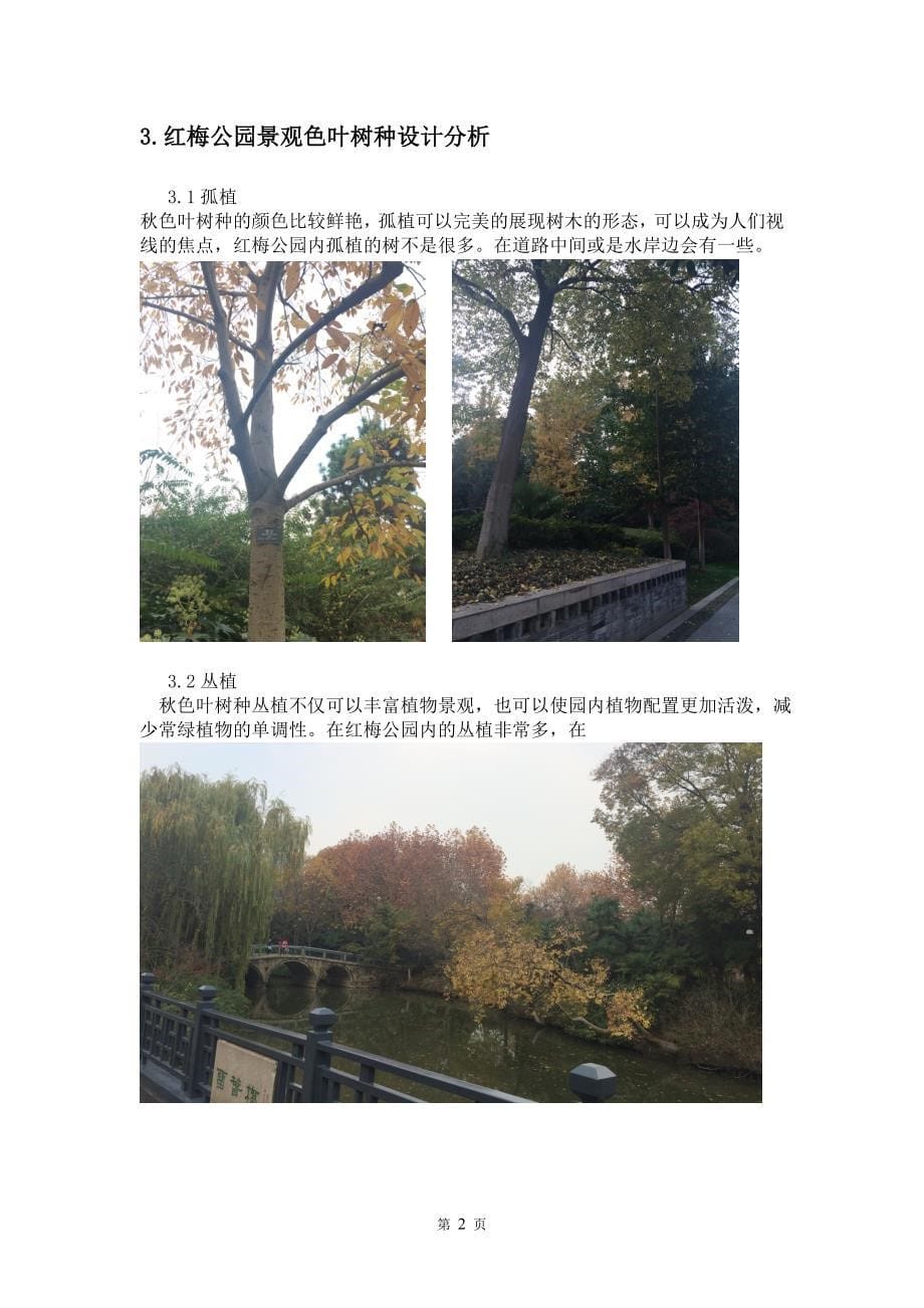 毕业论文--浅析秋色叶树种在红梅公园应用_第5页