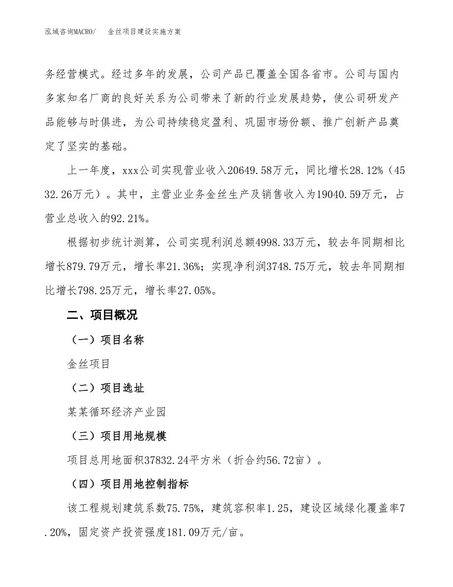 金丝项目建设实施方案（模板）_第2页