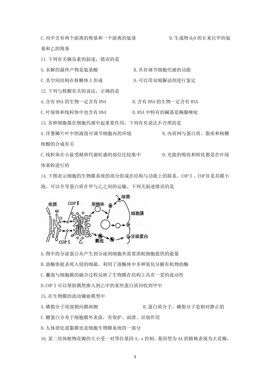 2017-2018学年四川省宜宾县第一中学校高一下学期期末模拟生物试题.doc_第3页