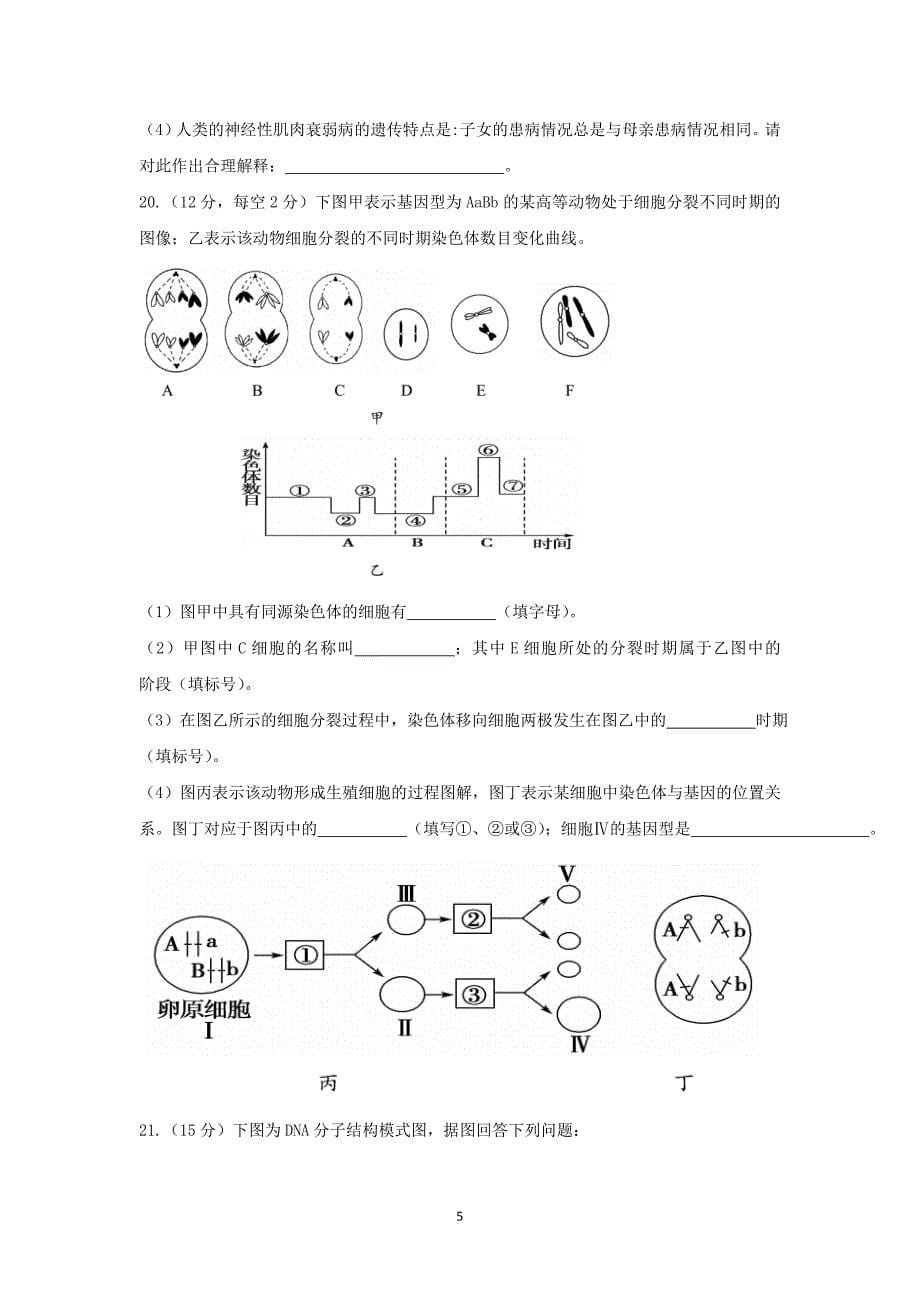 2017-2018学年四川省宜宾县第一中学校高一下学期期末模拟生物试题.doc_第5页