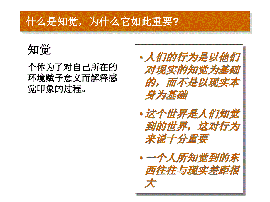 组织行为学 知觉和个体决策解析_第2页