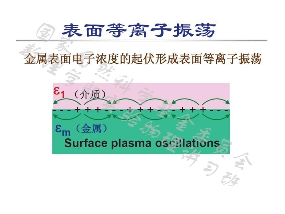 表面等离子体受激辐射放大技术简介._第5页