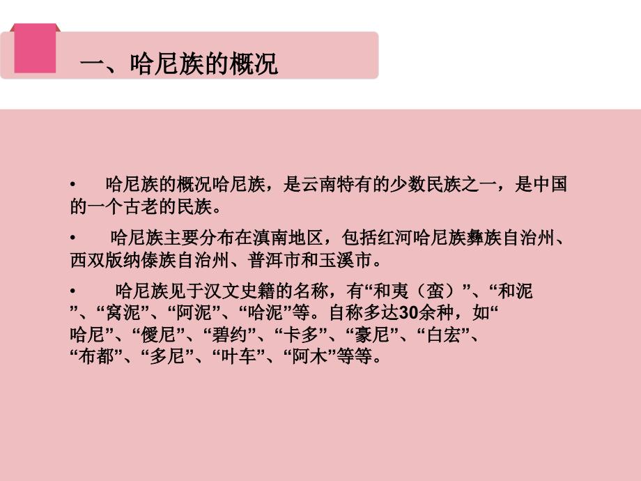 哈尼族文化习俗_第3页