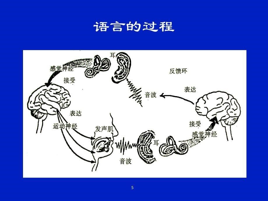 失语症概述-单春雷._第5页