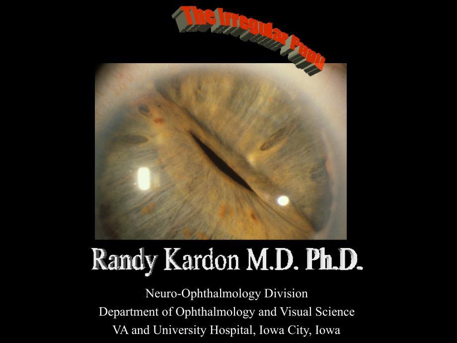 Fluorescein Video Angiography of the Ocular Circulation ：的荧光素血管造影眼部循环的视频