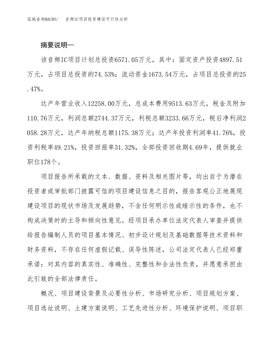 音频IC项目投资建设可行性分析.docx_第2页