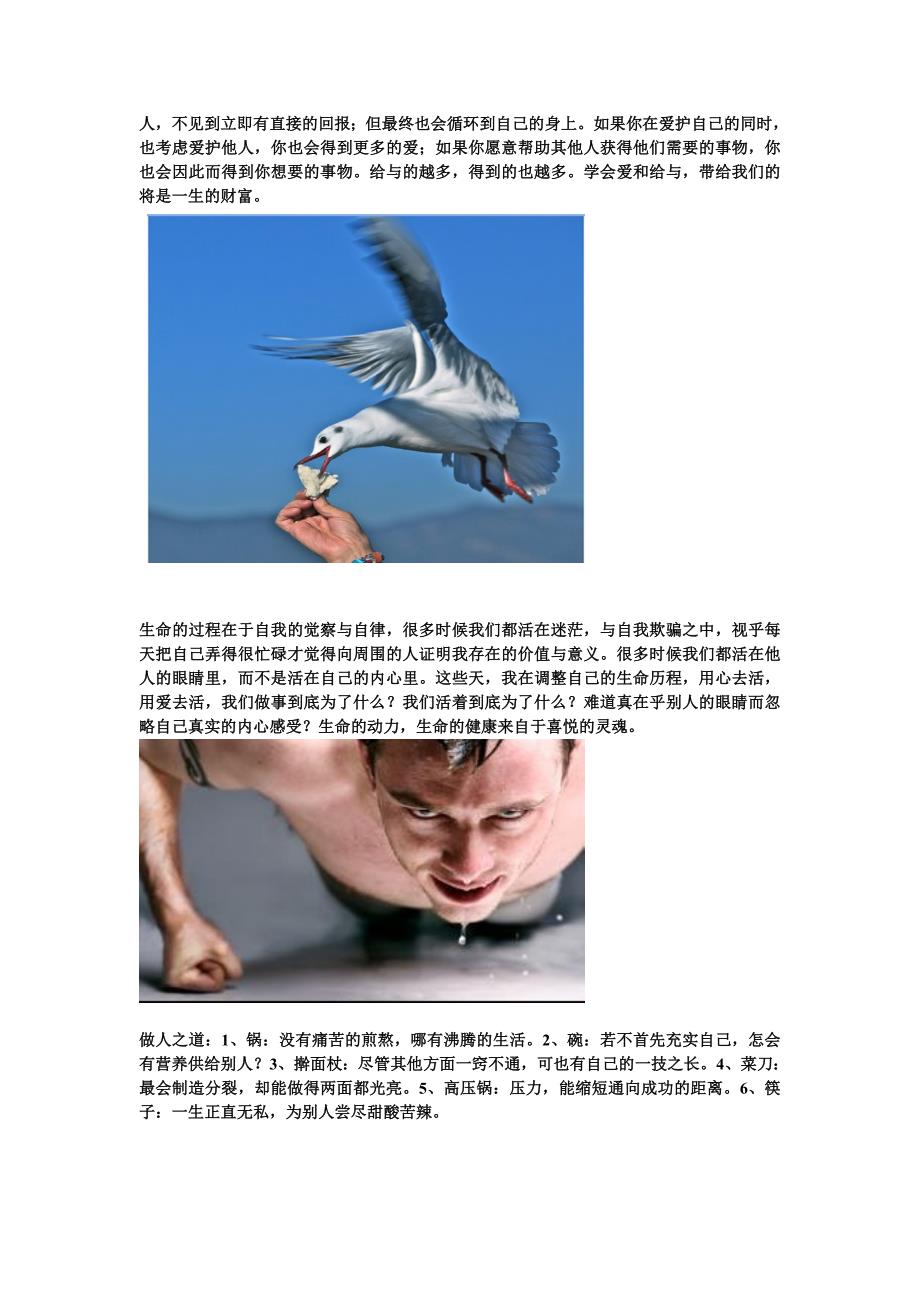 生活中的点点滴滴与您分享综述_第2页