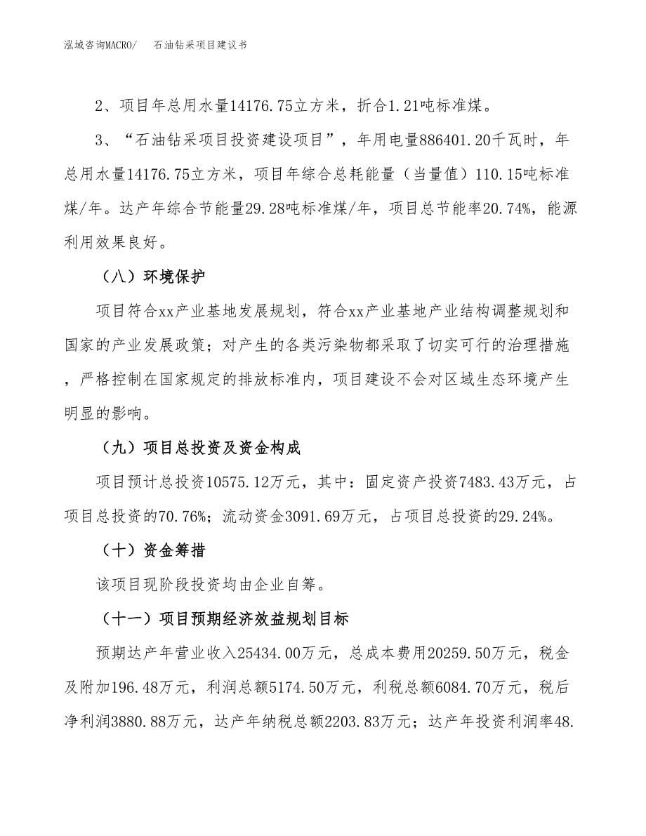 石油钻采项目建议书（可研报告）.docx_第5页