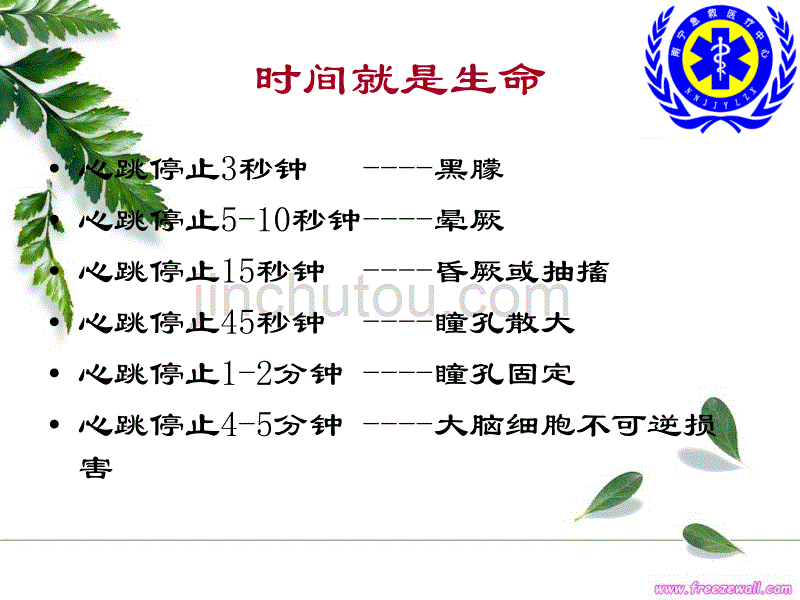 2015年 心肺复苏术 培训科_第5页