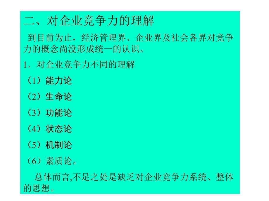 如何定量评价企业竞争力综述_第5页