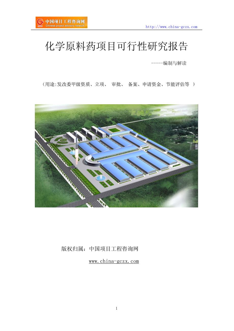 化学原料药项目可行性研究报告(专业经典案例)_第1页