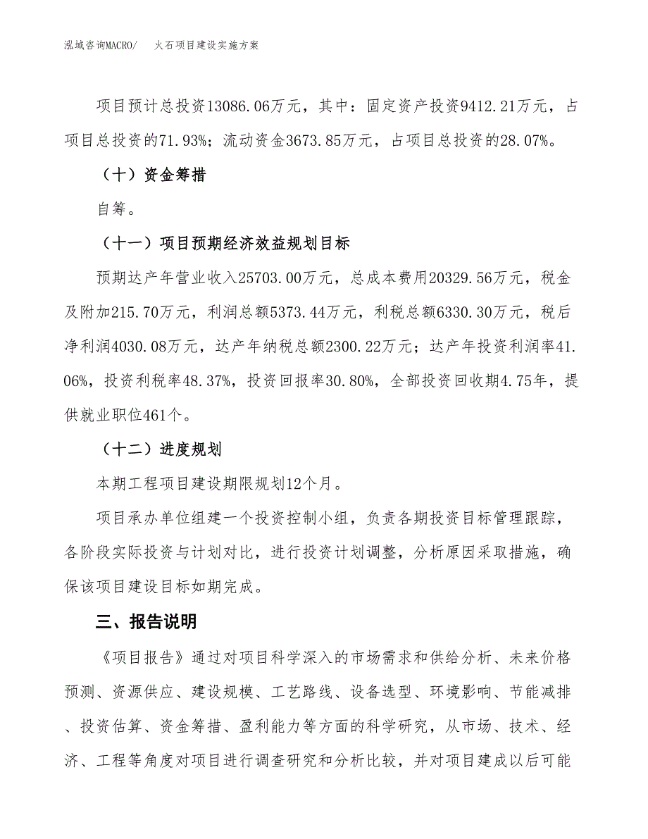 火石项目建设实施方案（模板）_第4页