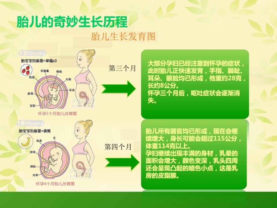 孕产妇安康常识讲座_保健摄生_生活休闲_第4页