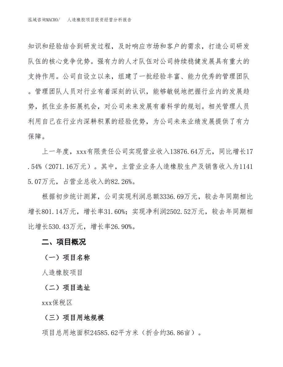 人造橡胶项目投资经营分析报告模板.docx_第2页