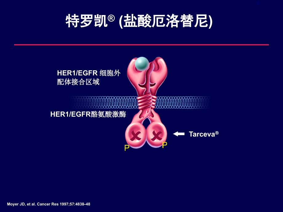 特罗凯临床研究汇总_第3页