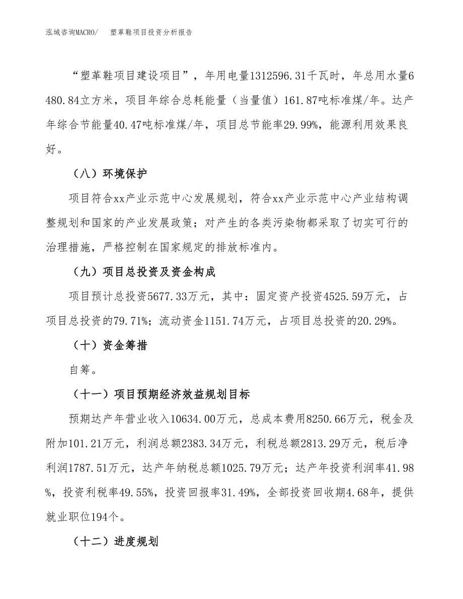 塑革鞋项目投资分析报告（总投资6000万元）（23亩）_第5页