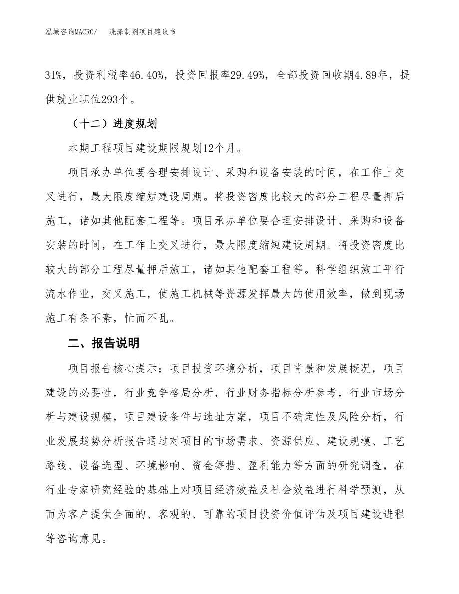 洗涤制剂项目建议书（可研报告）.docx_第5页